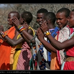 dancing-maasai-african-people