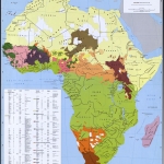 Africa_ethnic_groups_1996