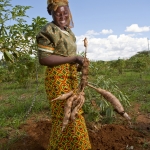 african-farmer